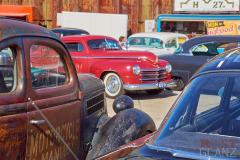 CC_Reunion_2025-238